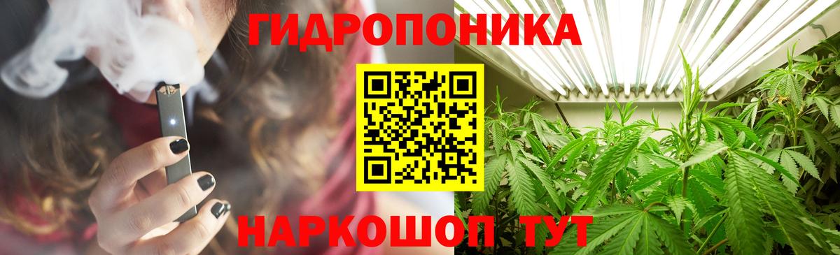 Каннабис гибрид  МАРИХУАНА AK-47  Бошки Шишки семена  Вход с VPN  Шишки марихуана конопля  Тверь 